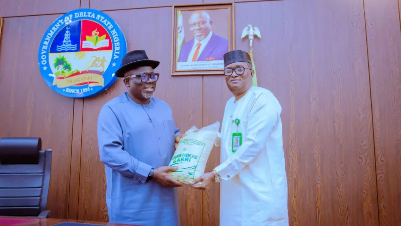 Delta state Governor