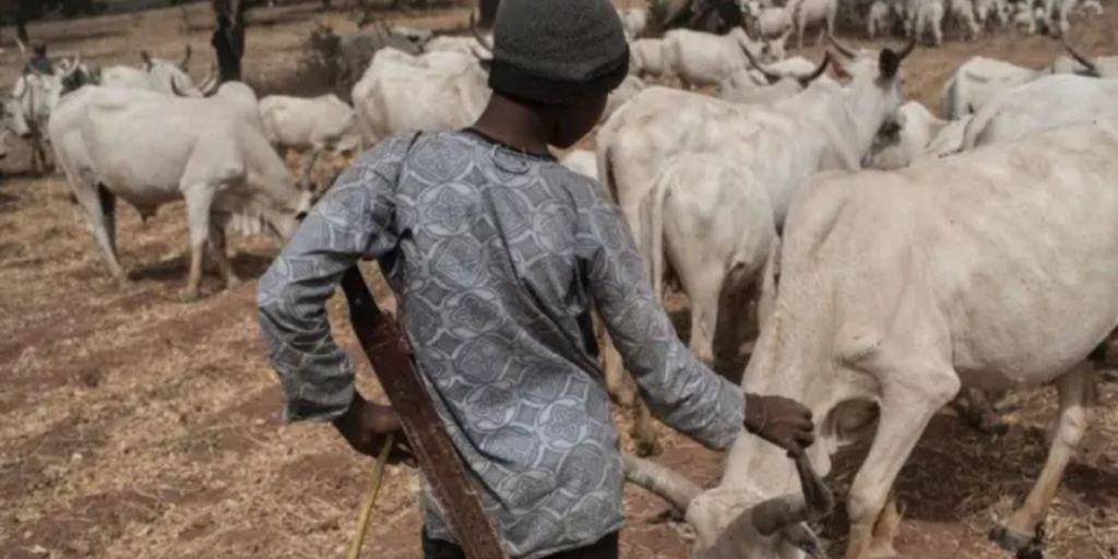 Uromi And Fulani Saga