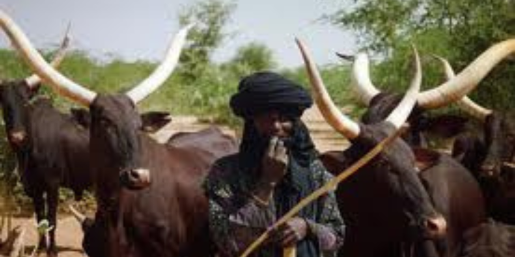Fulani Herdsmen