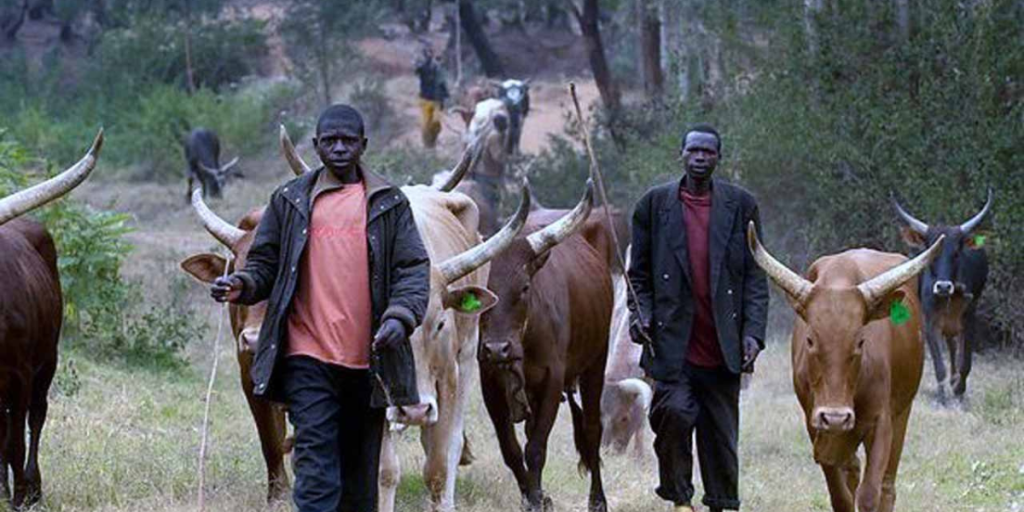 Fulani Herdsmen