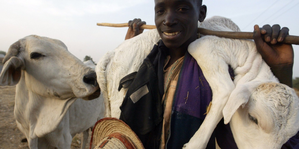 Fulani Herdsmen