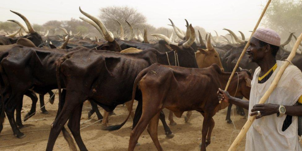 Fulani Herdsmen