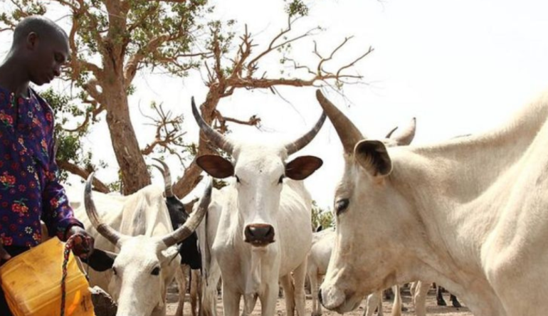 Fulani Herdsmen